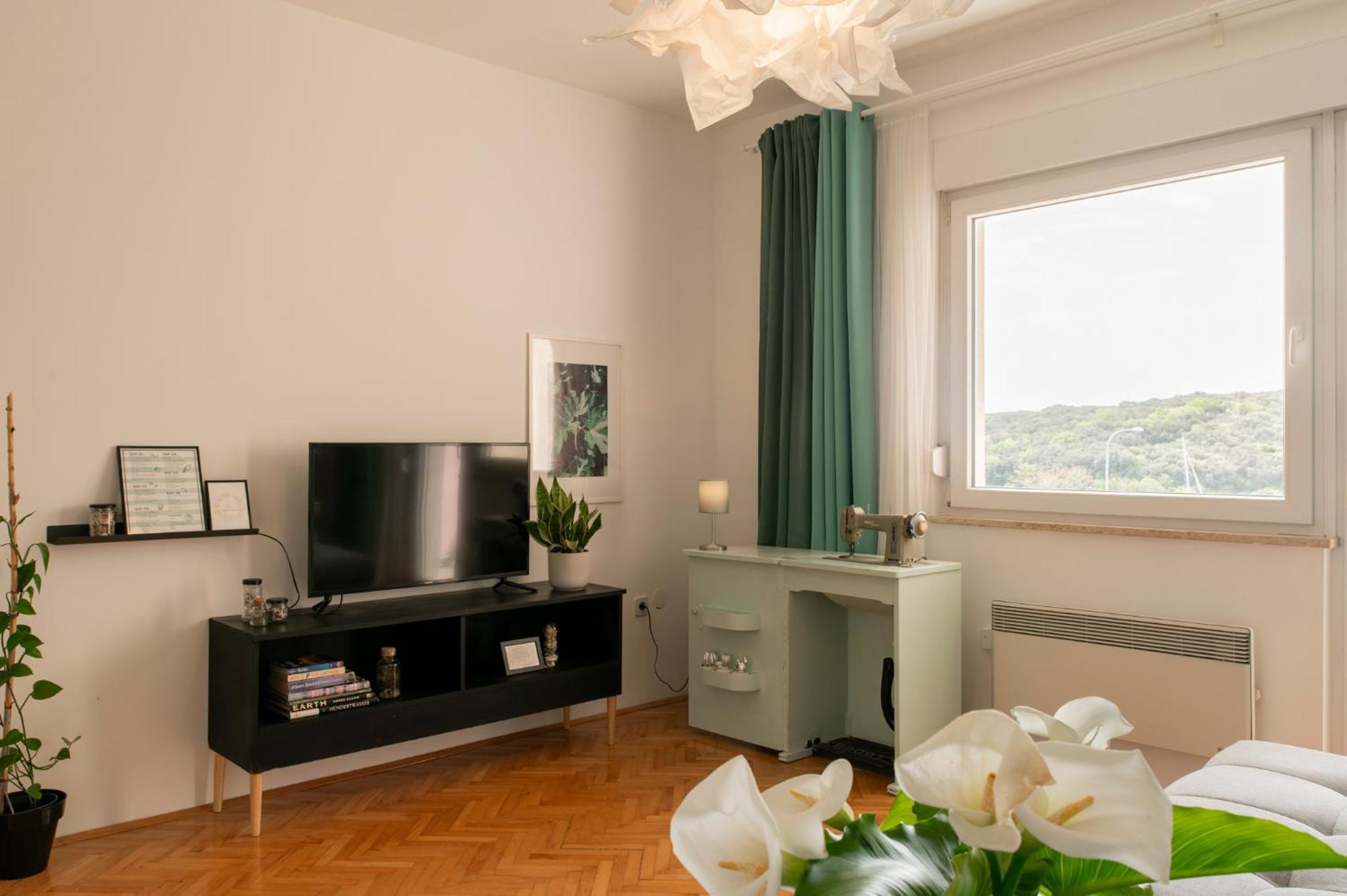 Apartman Salt&Sky *
